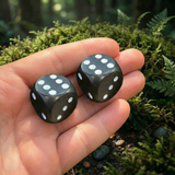 🎲 Black Agate — Intention & Decision Dice