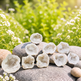 Quartz Geode Agate Crystal