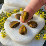 Mini Tiger's Eye Cabochons