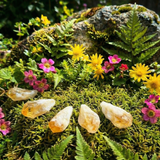 10-pc Obsidian - Rose Quartz - Citrine- Self Power Set