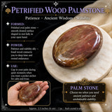 Petrified Wood Palmstone