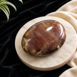 Petrified Wood Palmstone