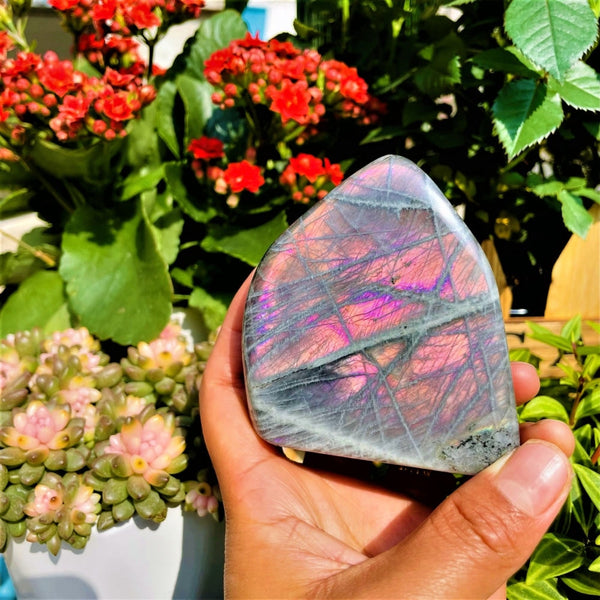 Large Purple Flash Labradorite Freeform (Item #0083)