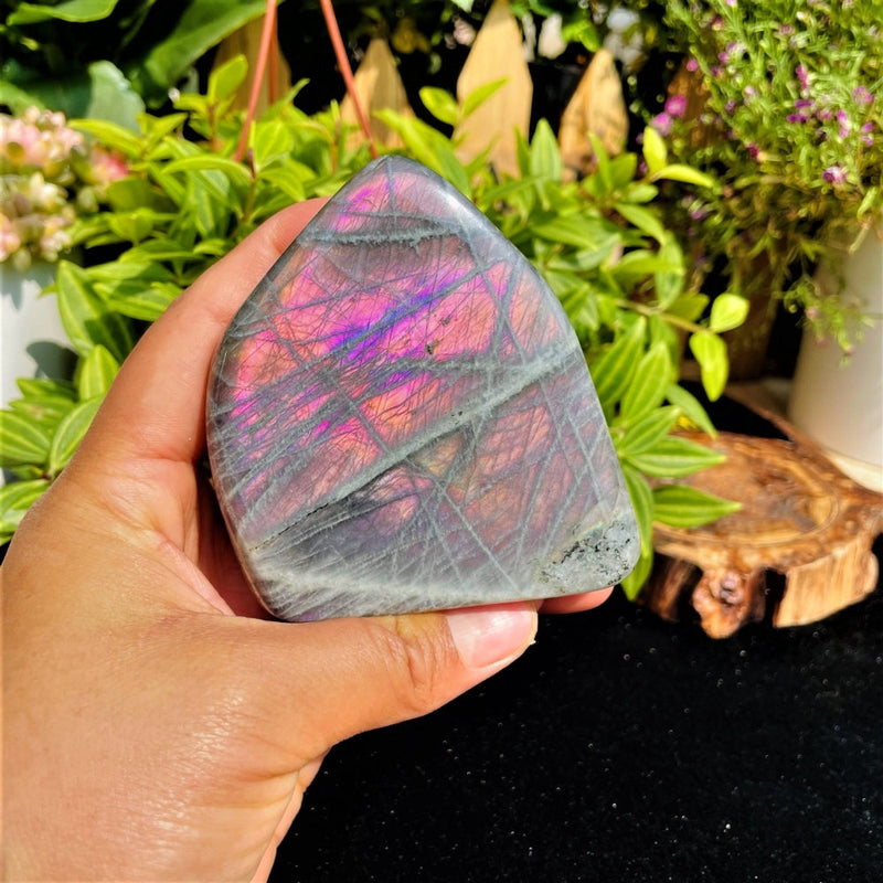 Large Purple Flash Labradorite Freeform (Item #0083)