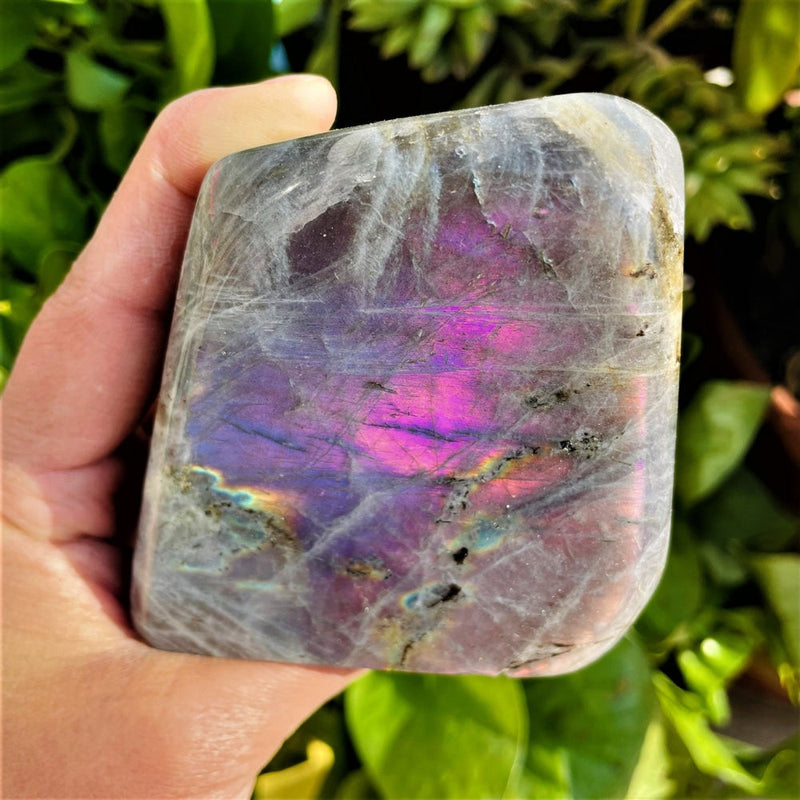 Purple Flash Labradorite Freeform (Item #0007)