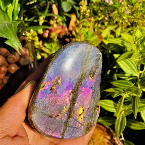 Large Purple Flash Labradorite Freeform (Item #0099)