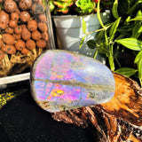 Large Purple Flash Labradorite Freeform (Item #0099)