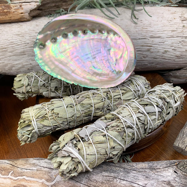 Smudge Kit: White Sage (6-Inch) + Abalone Shell