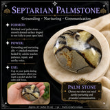 Septarian Palmstone