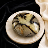 Septarian Palmstone