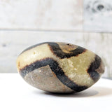 Septarian Palmstone - palmstone