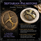Septarian Palmstone