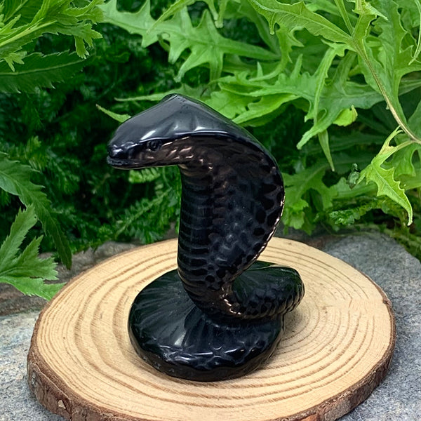 Serpent of Protection Crystal Set