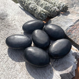 Shungite Palmstone