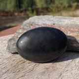 Shungite Palmstone