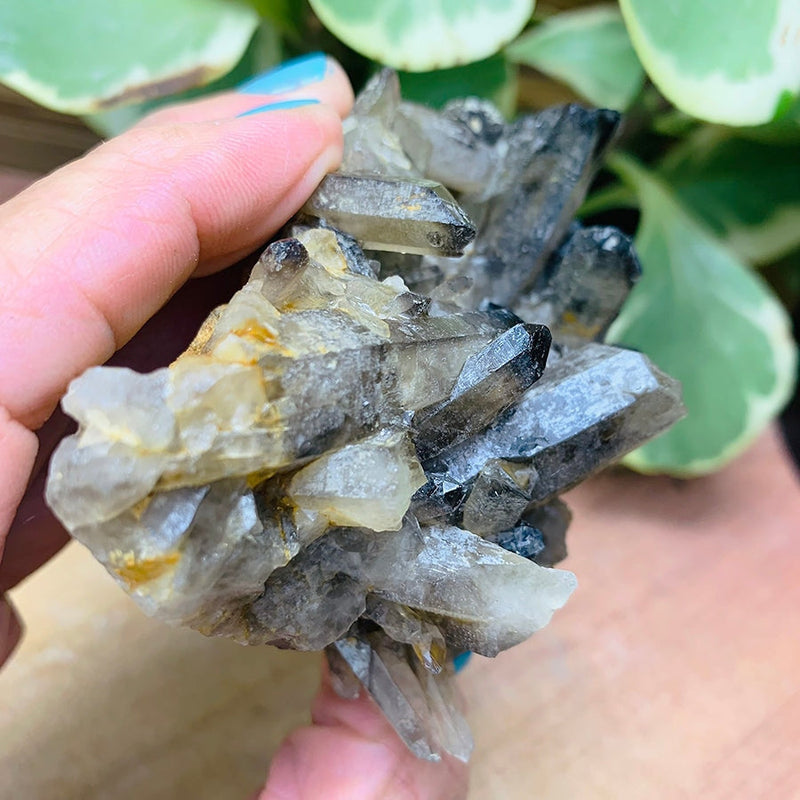 Copy of Smoky Quartz Cluster - clustergeode