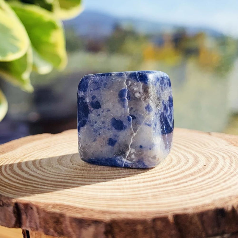 Sodalite Tumbled Stone Set of 12 - tumbledstone