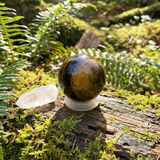 ✨ Tiger's Eye Super Sale Promo Mini Set ✨