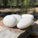 White Wisdom Quartz Palmstone