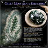 Green Moss Agate Palmstone