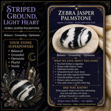 Zebra Jasper Palmstone