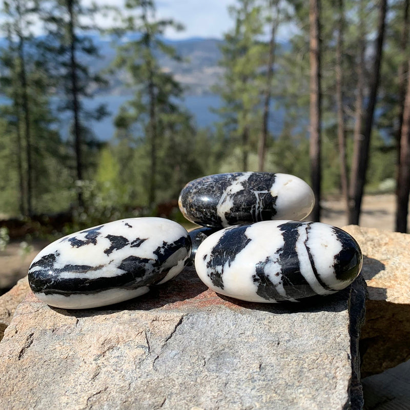 Zebra Jasper Palmstone