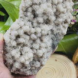 Large (1.61 lbs) Apophyllite Cluster (Item #0023)