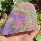 Large (1.63 lbs.) Purple Flash Labradorite Freeform (Item #1003)