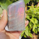 Purple Flash Labradorite Freeform (Item #0085)