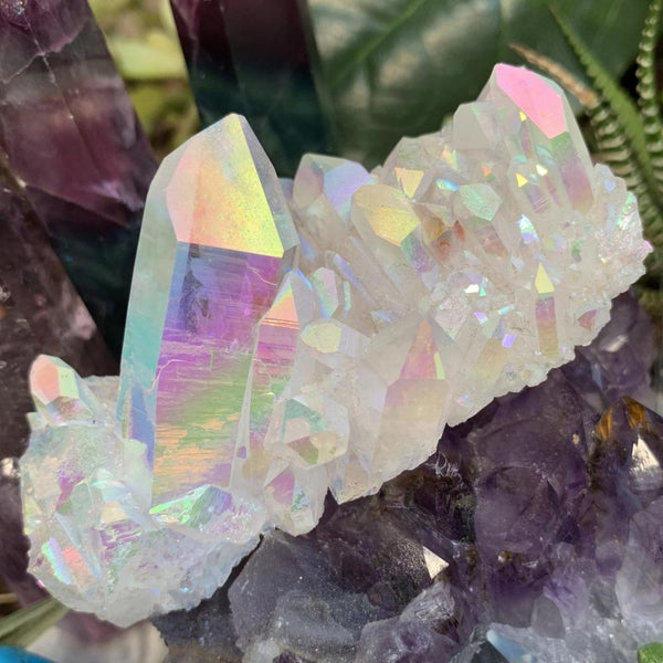 Angel Aura Cluster