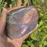 Purple Flash Labradorite Freeform (Item #0096)